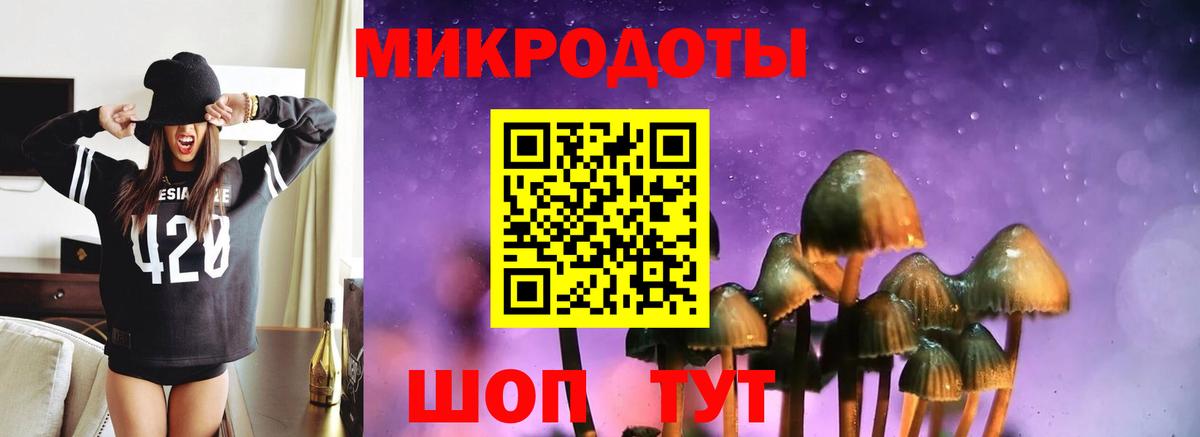 Галлюциногенные грибы Psilocybine cubensis Реж